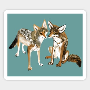 Coyote in love #3 Magnet